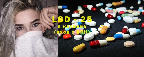 прущие грибы Бугульма