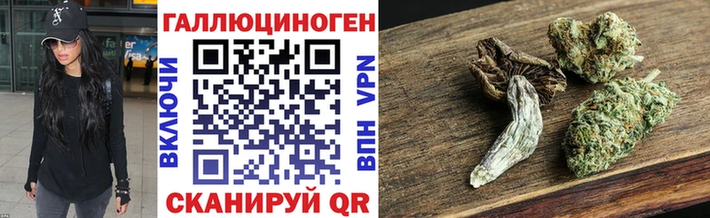 Галлюциногенные грибы Psilocybe  Безенчук 